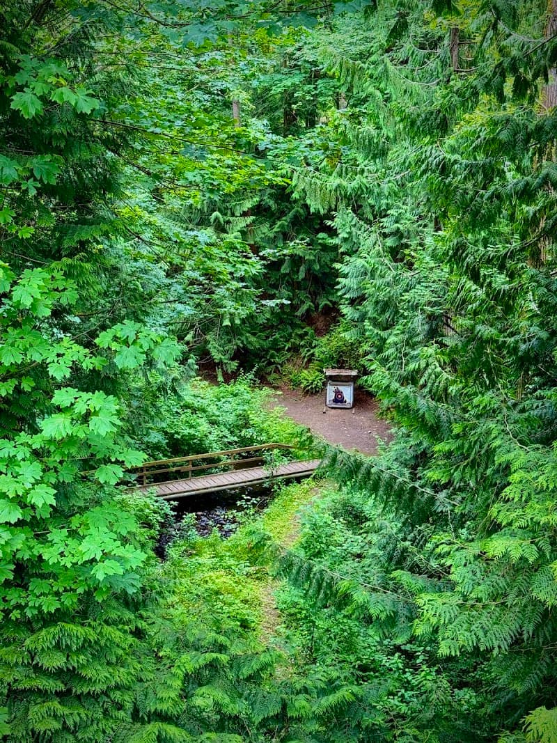 Photo by Phah Sajjaphot (Google)