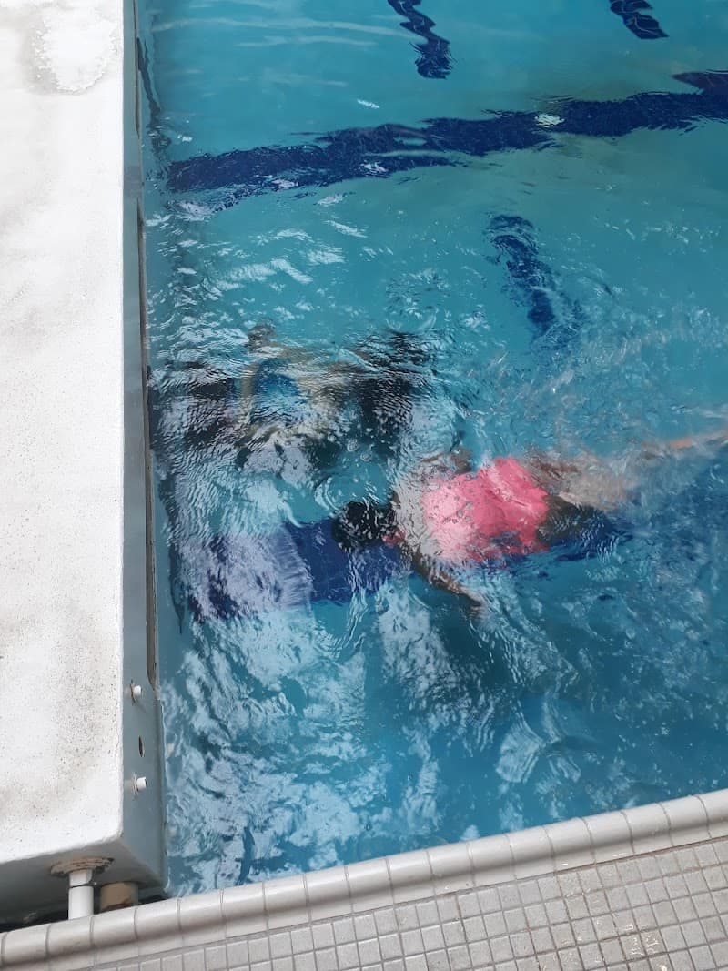 Photo by Suzanne Rowley (Google)