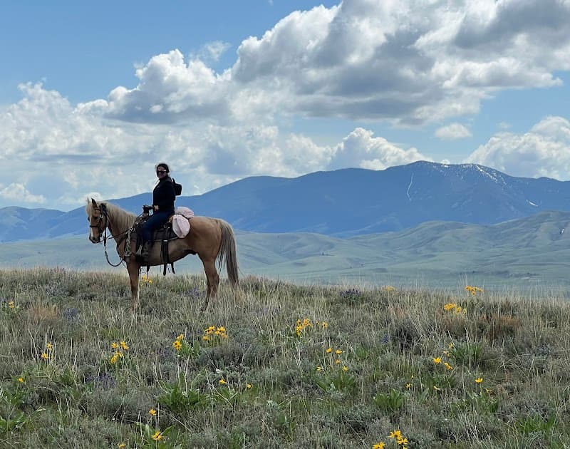 Photo by Brooke Giacin (NCEA Recruitment) (Google)