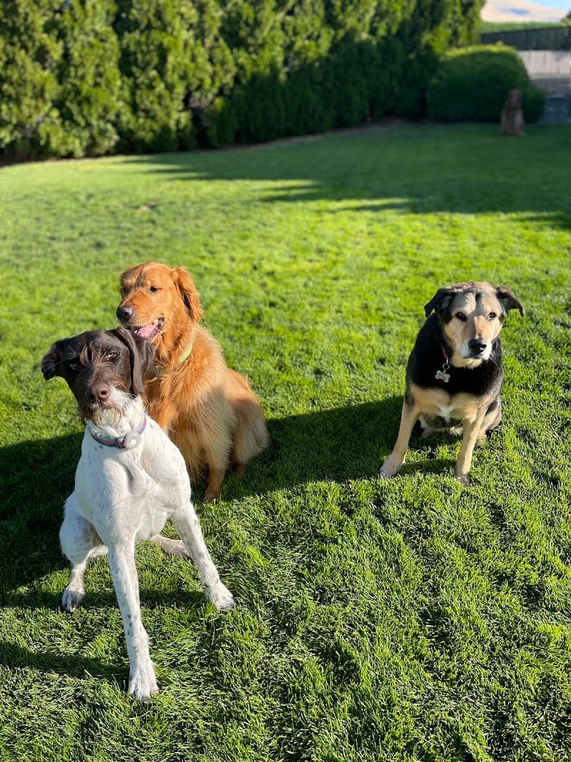 Photo by Fernanda Azalin (Google)