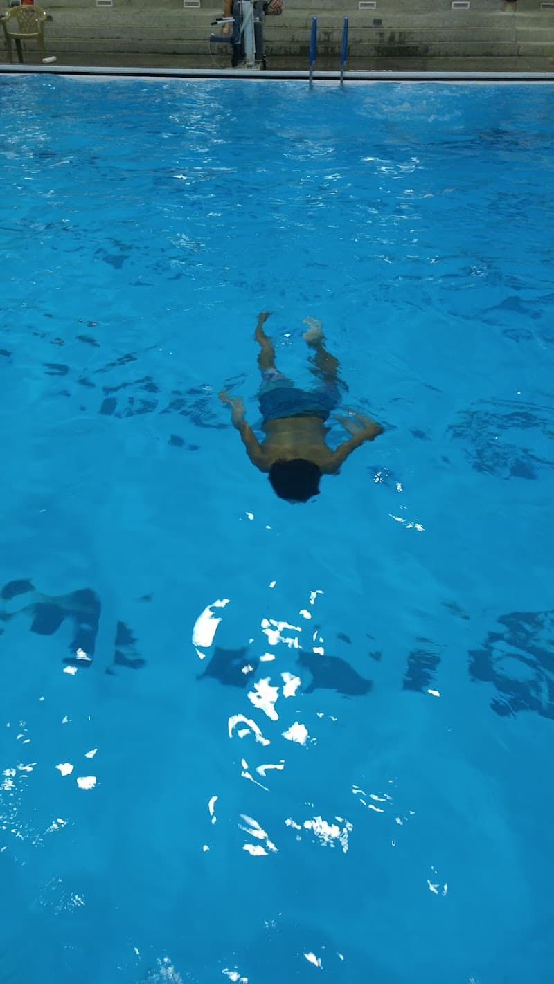 Photo by Celeste Galvan (Google)