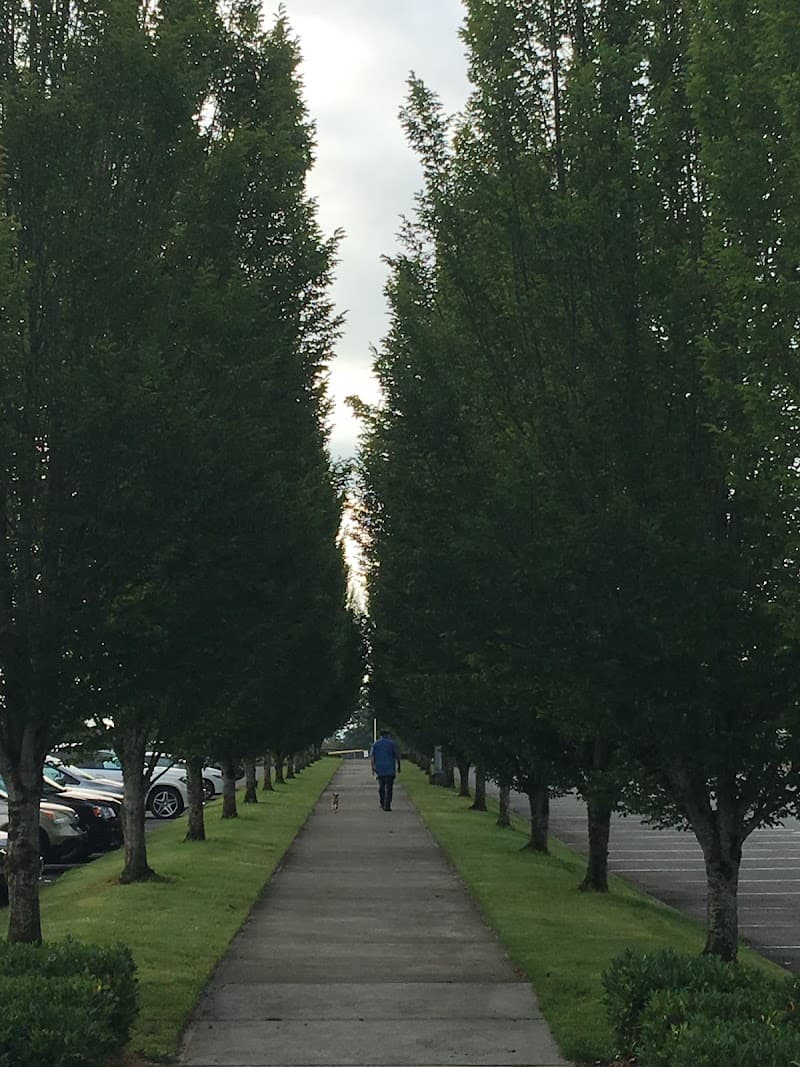 Bonney Lake High School, WA