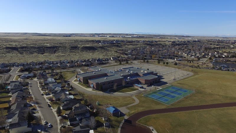 Photo by Pigeon Senpai (Google)