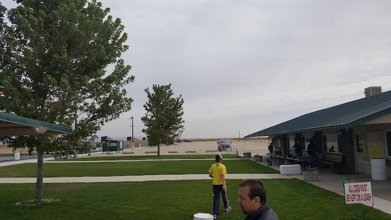 Photo by Kevin Cook (Google)