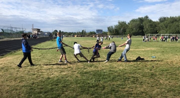 Photo by MSD Technical Support (Google)