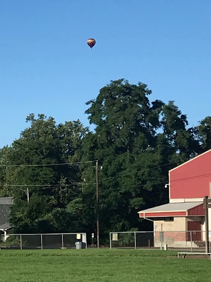 Photo by Nicholas Wood (Google)