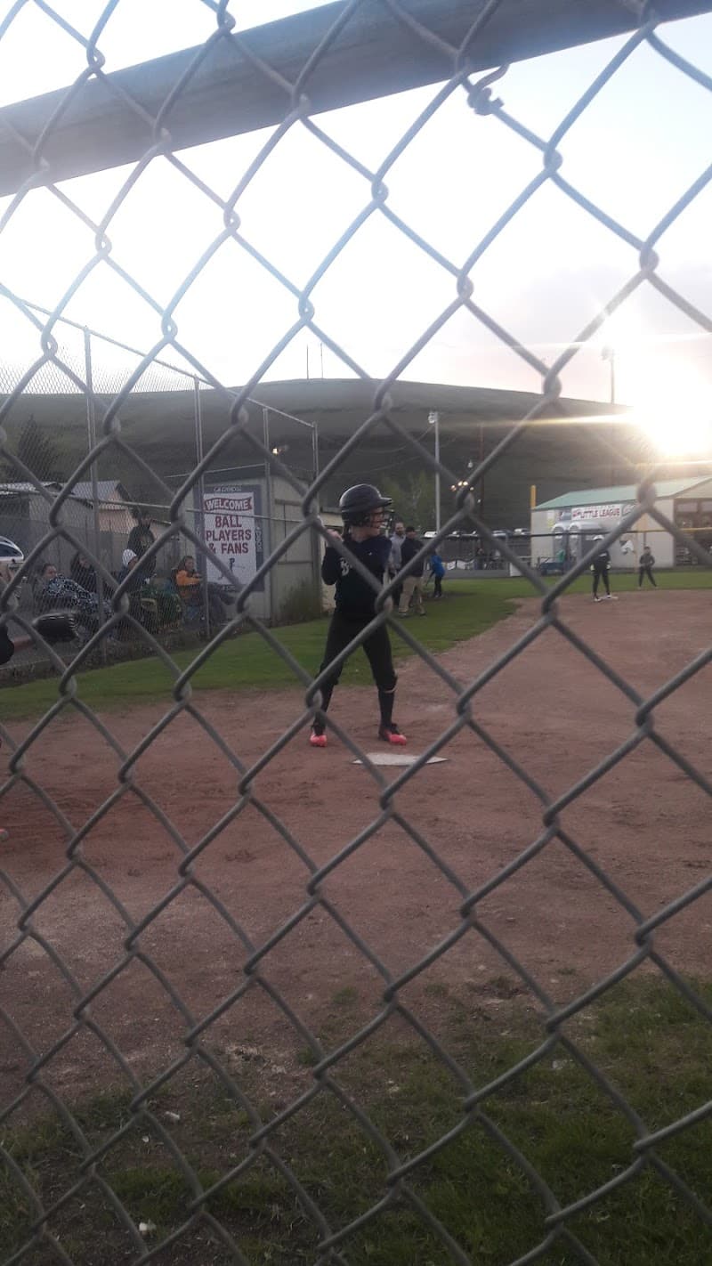 Photo by Kari Knight (Google)