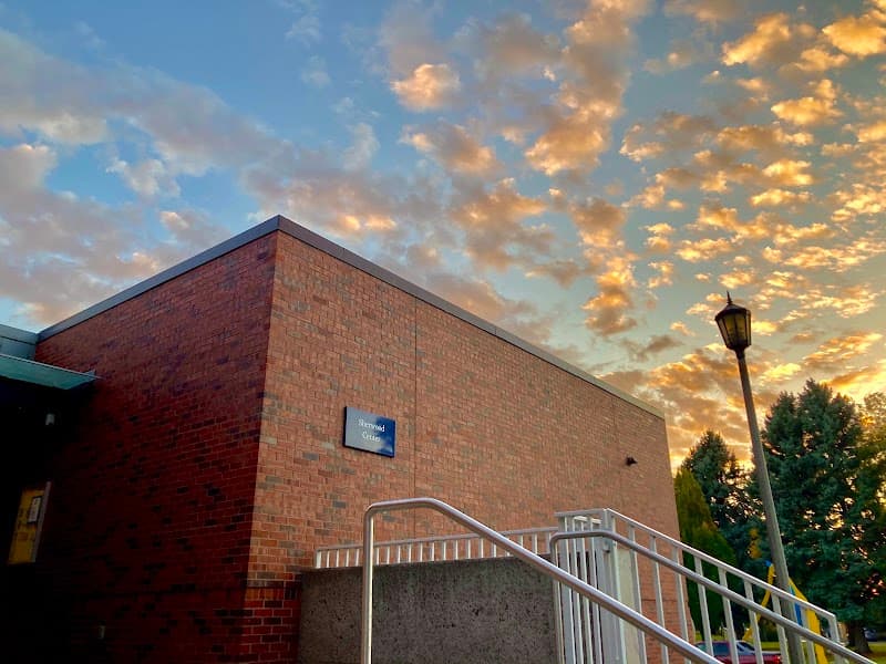 Photo by Uriah Shemuel (Google)