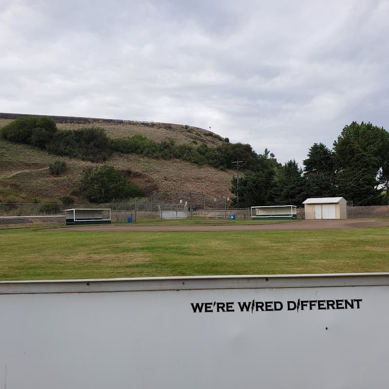 Photo by Colleen “Badass that Sparkles” Langdon (Google)