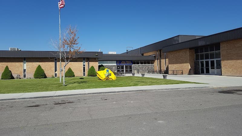 Photo by Mason Wilkins (Google)