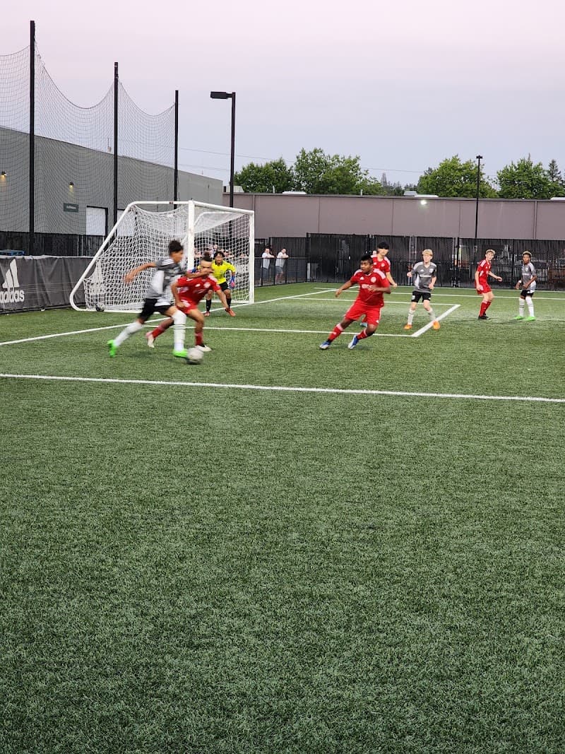 Photo by Joseph Geiger-Gaither (Google)