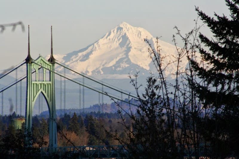 Photo by Senior Helpers (Google)