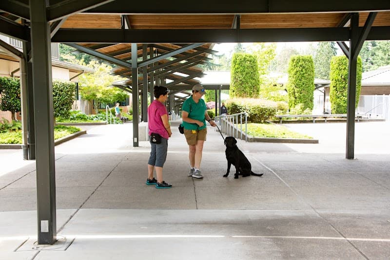 Photo by Guide Dogs For the Blind (Google)