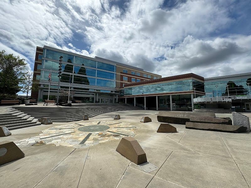 Photo by Evgeny Vinnik (Google)