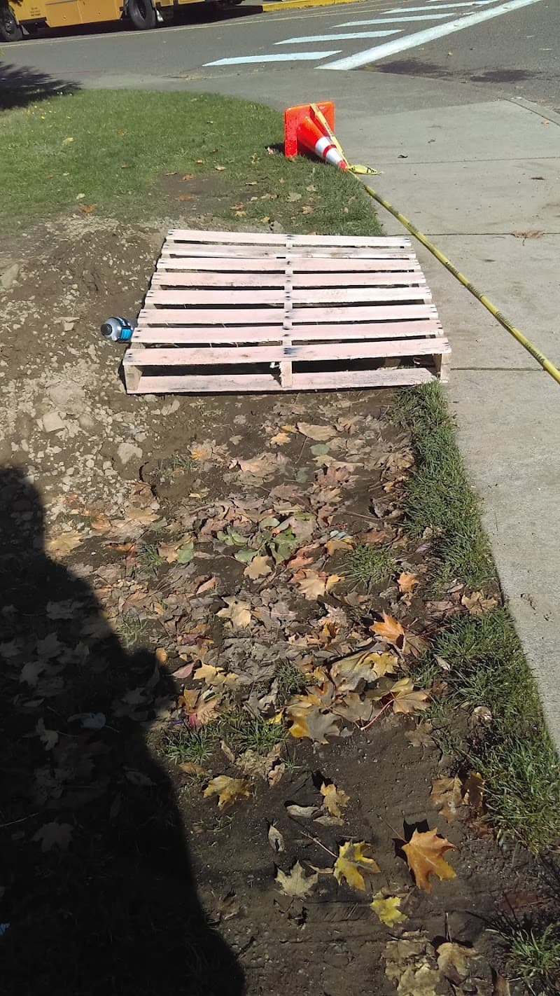 Boeckman Creek Primary School