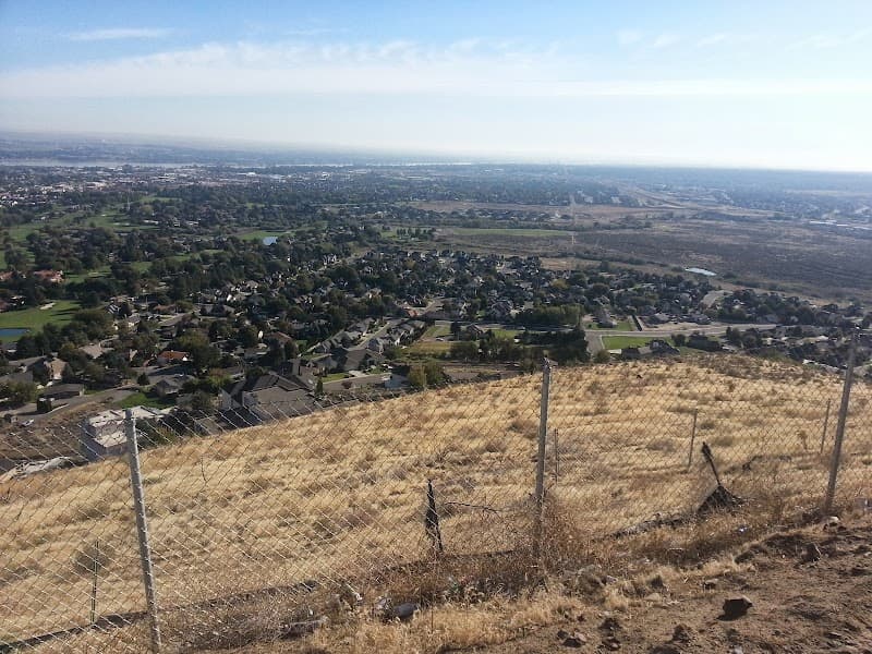 Photo by Marchell Mascheck (Google)