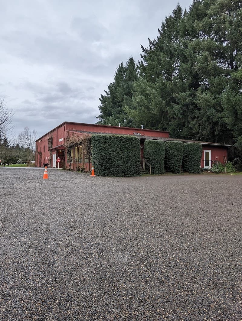 Photo by Abby Sweet (Google)