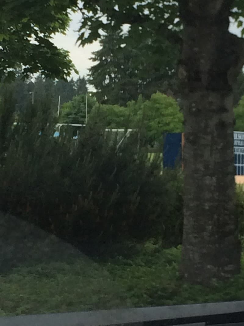 Photo by jerry bowman (Google)