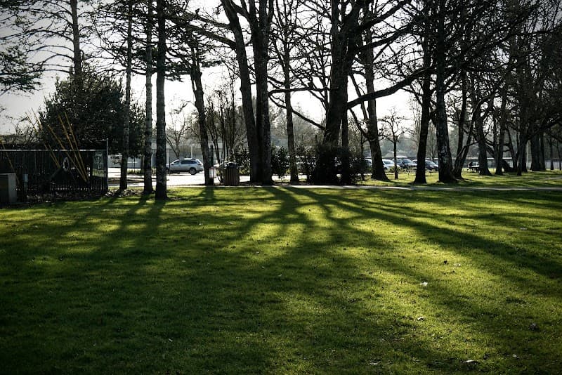 Photo by Casimir Barksdale (Google)