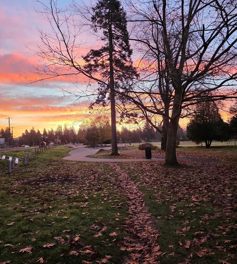 Photo by Daniel Camacho (Google)