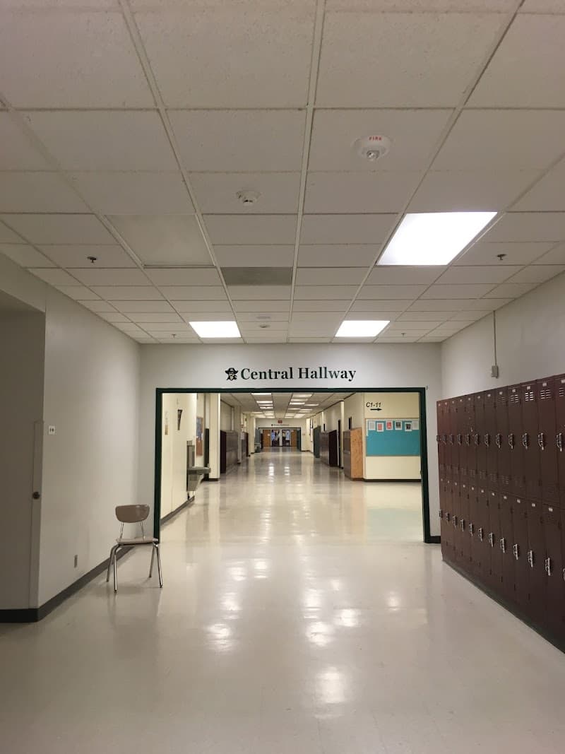 Photo by U. Faruk (Google)