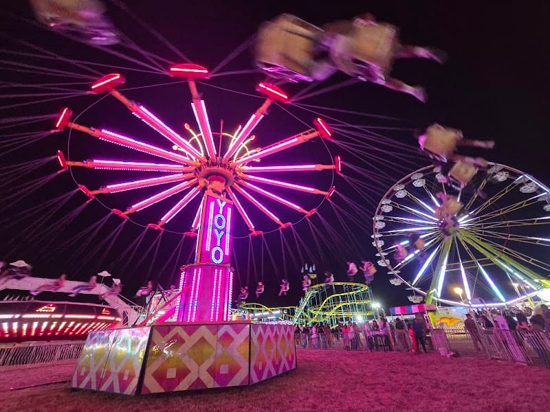 Photo by Aaron Krile (Google)