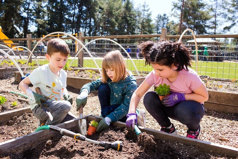 Photo by Portland Jewish Academy (Google)