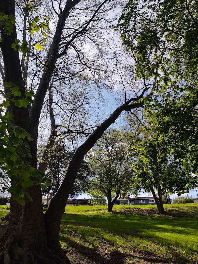 Photo by t clark (Google)