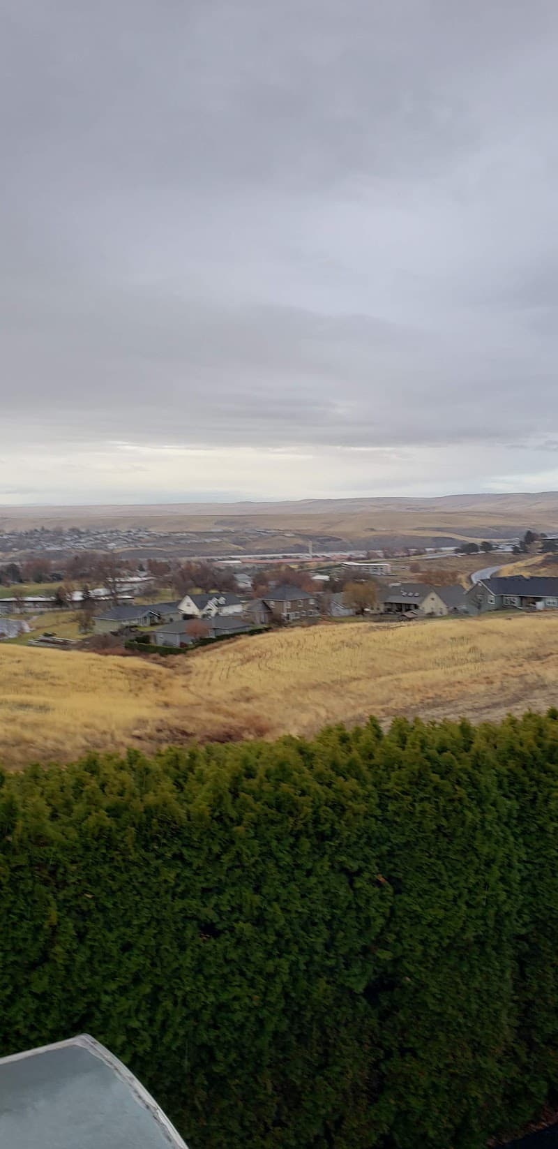 Photo by Maurice Carter (Google)