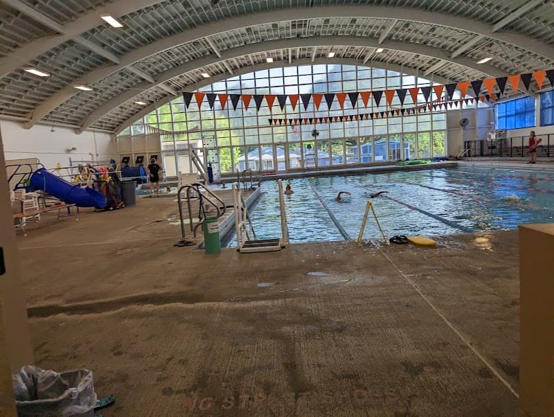 Photo by David Zoraiz Benjamin (Google)