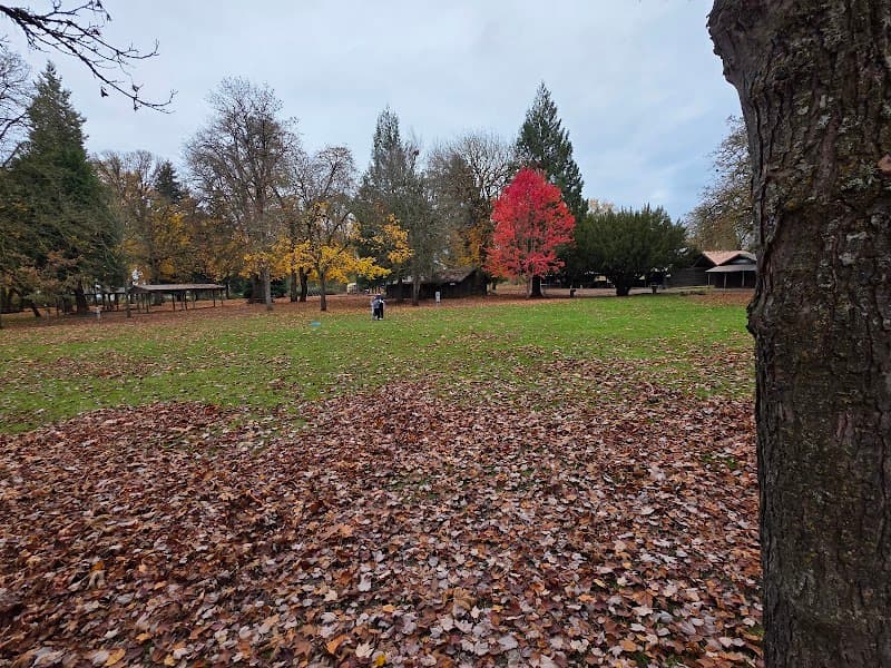 Photo by Carl Ode (Google)