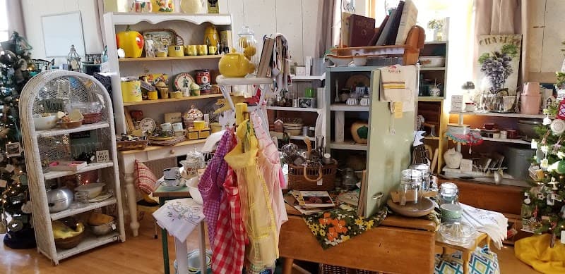 Photo by lynette Kaufer (Google)