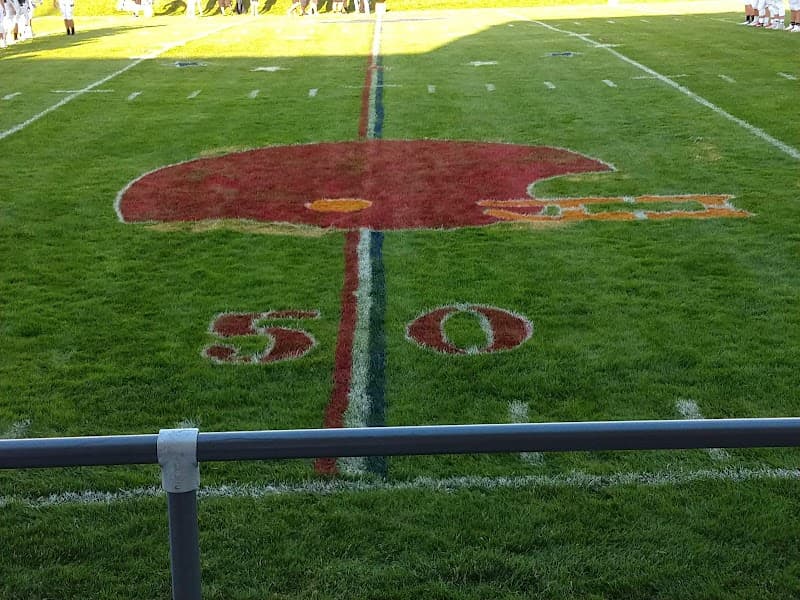 Photo by Suzanne Gray (Google)