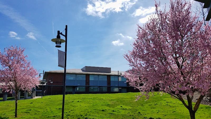 Photo by Josh - (Google)