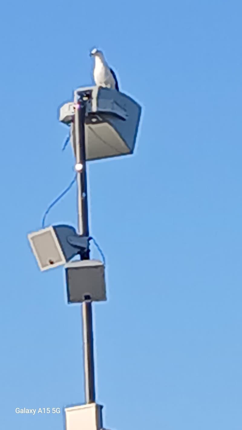 Pasco Sports Complex Field 34