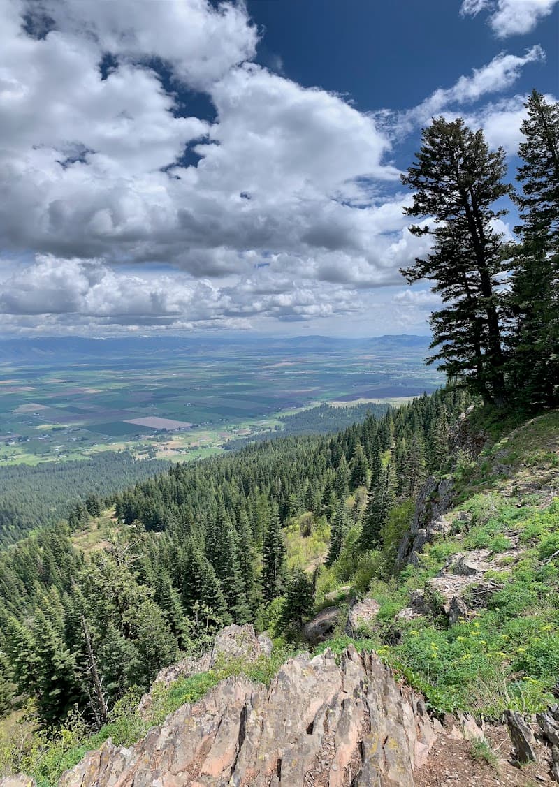 Photo by Darin Warnick (Google)