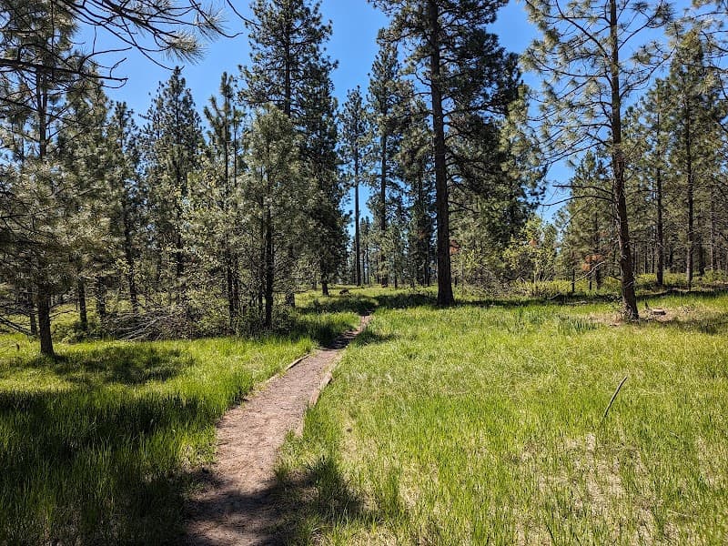 Mount Emily Recreation Area