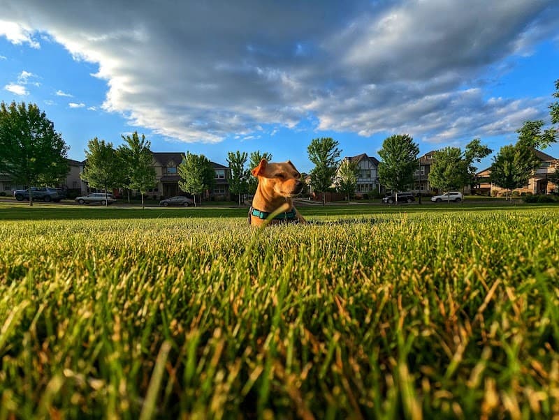 Lowrie Primary School