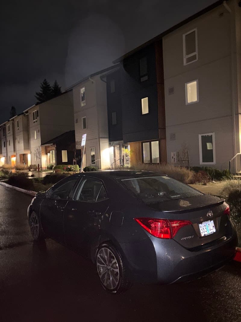 Photo by Alexis Lester (Google)