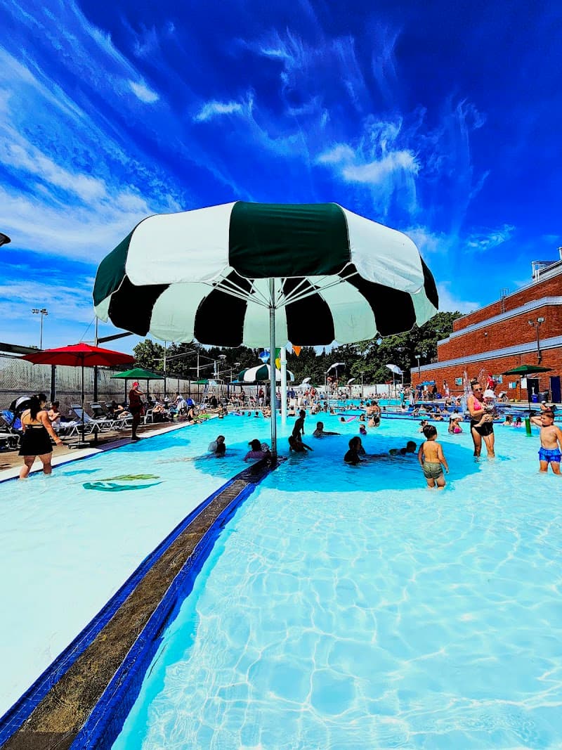 Photo by elie jamil (Google)