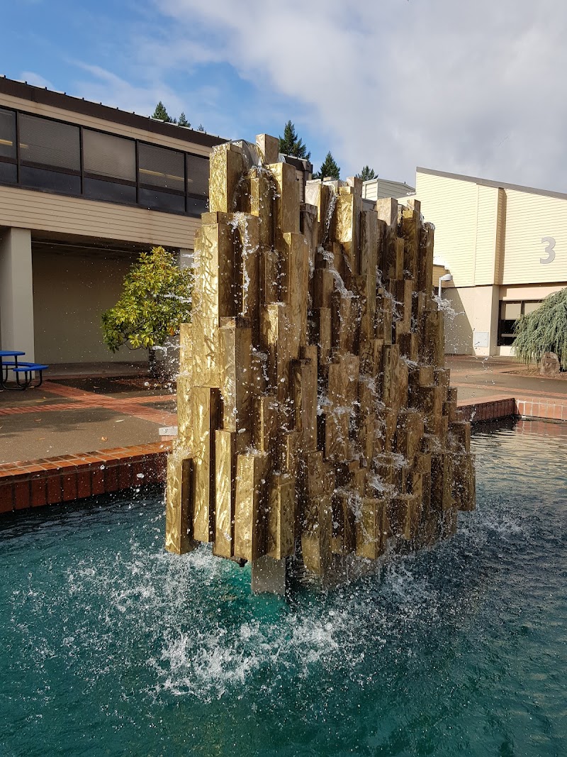 Photo by Sing PaPa (Google)