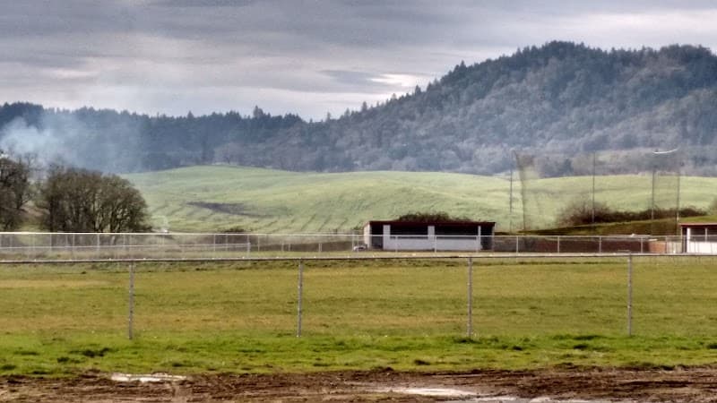 Photo by Elle Snyder (Google)