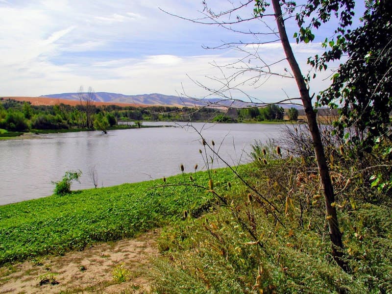 Photo by Alex PennCove Tucker (Google)