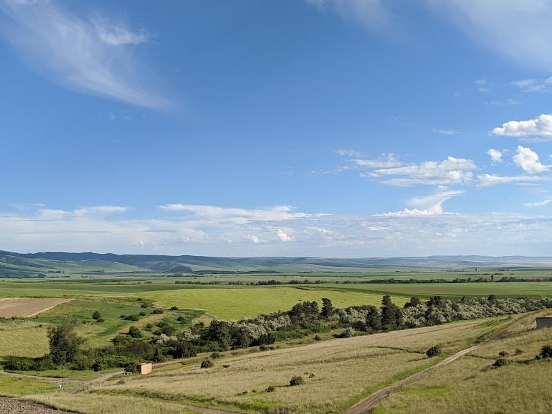 Photo by Kristina Jimenez (Google)