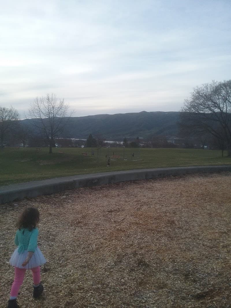 Softball Field @ Sunset Park