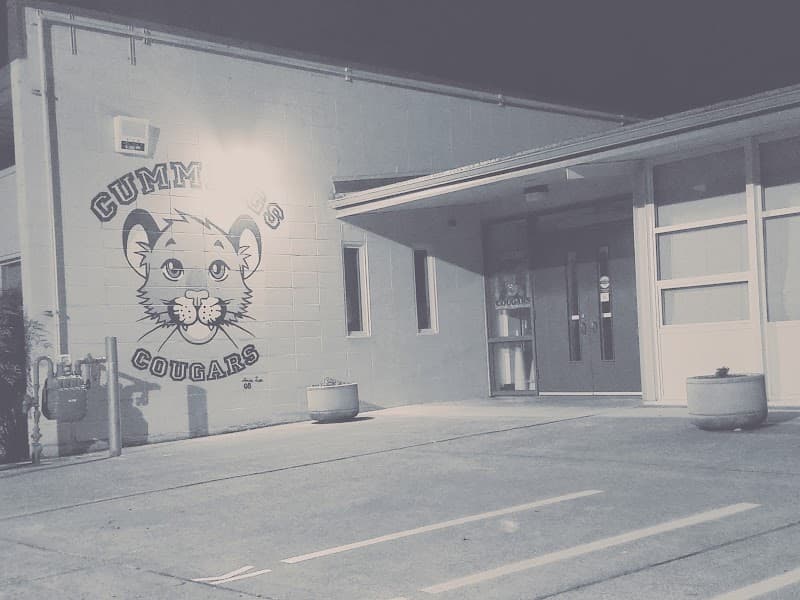 Photo by sean pellor (Google)