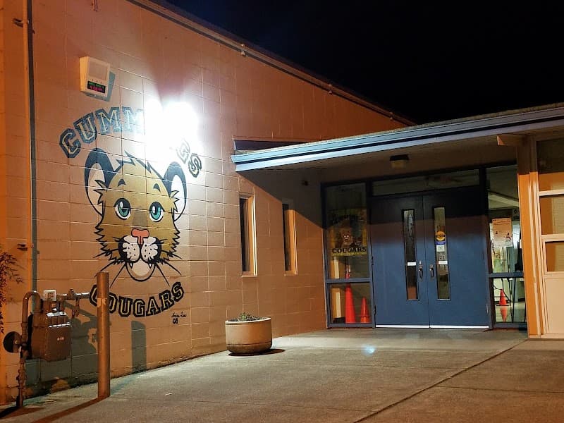 Cummings School