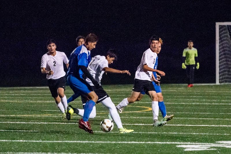 Photo by Max Rae (Google)