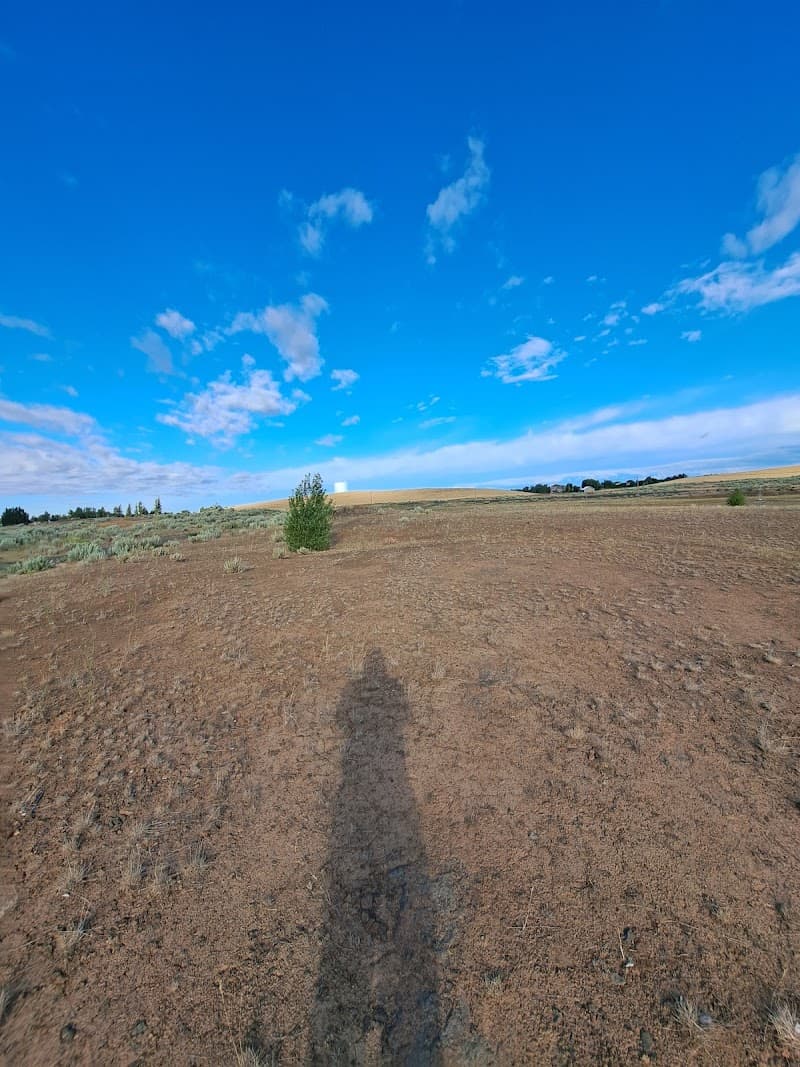 Photo by Pat Anthony (Google)