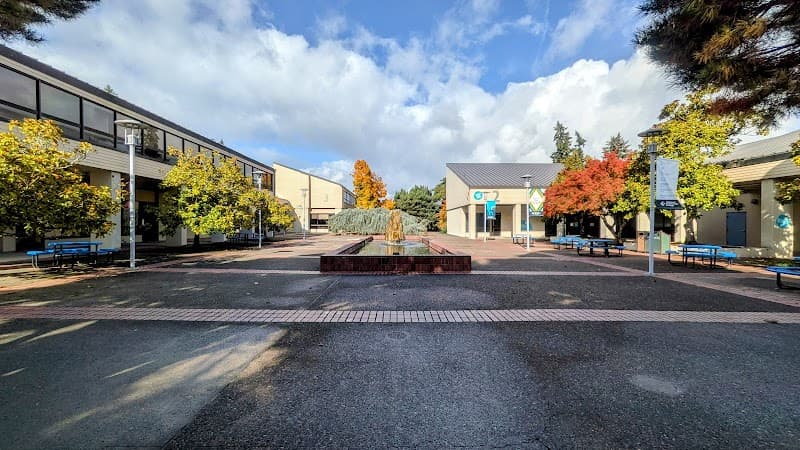 Photo by Carlos Gavilanes (Google)